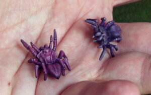 2 petites araignées se promènent dans le creux de ma main